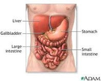 Gallbladder Health (an extremely important organ for good health)